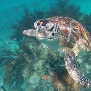 Meet your Posher, Michelle